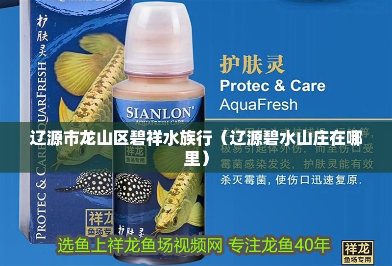 遼源市龍山區碧祥水族行（遼源碧水山莊在哪里）