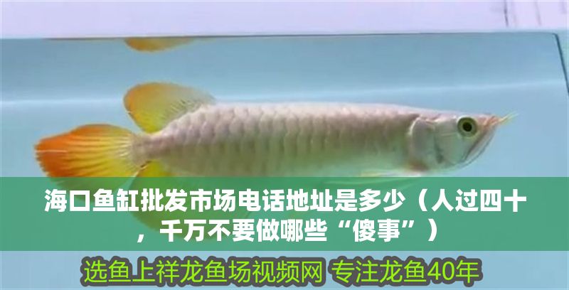 海口魚(yú)缸批發(fā)市場(chǎng)電話(huà)地址是多少（人過(guò)四十，千萬(wàn)不要做哪些“傻事”）