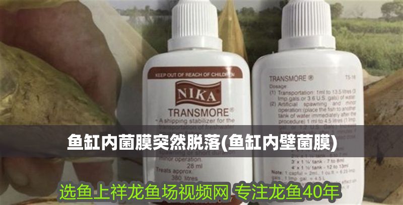 魚缸內菌膜突然脫落(魚缸內壁菌膜) 錦鯉魚百科 第1張 魚缸內菌膜突然脫落(魚缸內壁菌膜) 魚缸內菌膜突然脫落(魚缸內壁菌膜) 錦鯉魚百科 第1張