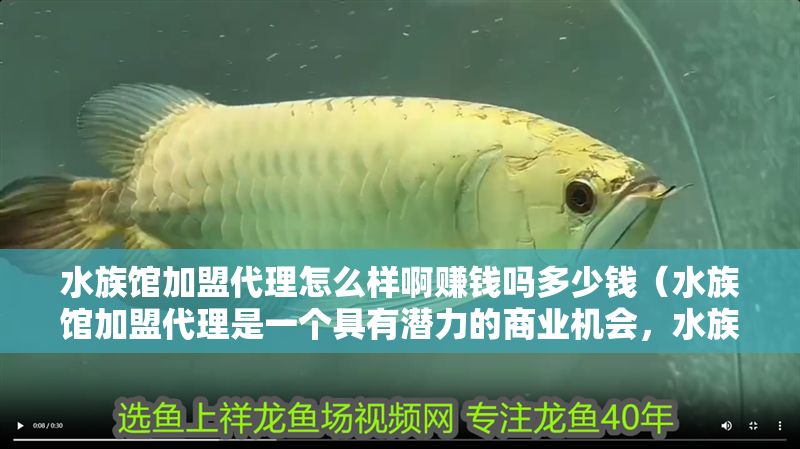 水族館加盟代理怎么樣啊賺錢嗎多少錢（水族館加盟代理是一個(gè)具有潛力的商業(yè)機(jī)會(huì)，水族館營(yíng)銷策略分享）