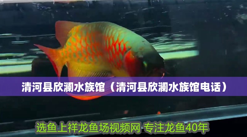 清河縣欣瀾水族館（清河縣欣瀾水族館電話）