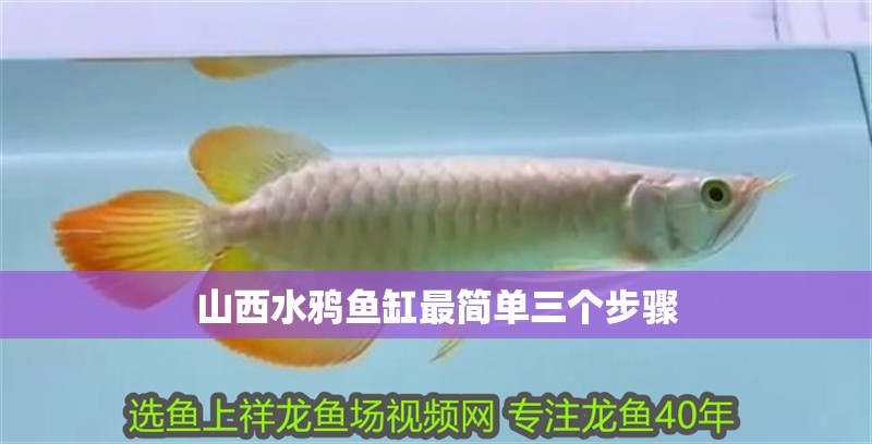 山西水鴉魚缸最簡單三個步驟