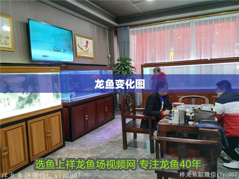 龍魚變化圖