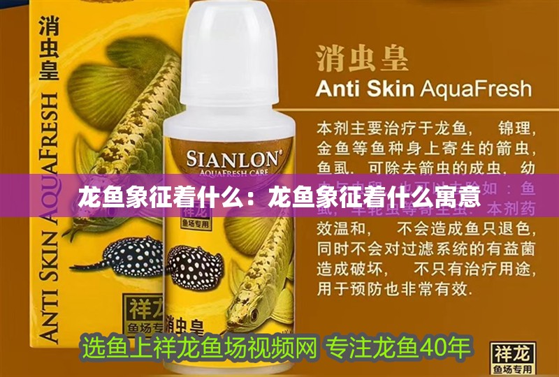 龍魚象征著什么：龍魚象征著什么寓意