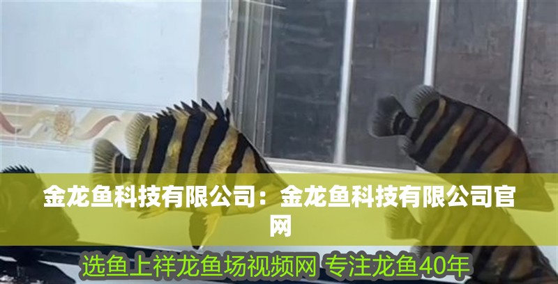金龍魚科技有限公司：金龍魚科技有限公司官網