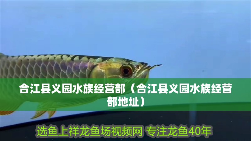 合江縣義園水族經(jīng)營部（合江縣義園水族經(jīng)營部地址）
