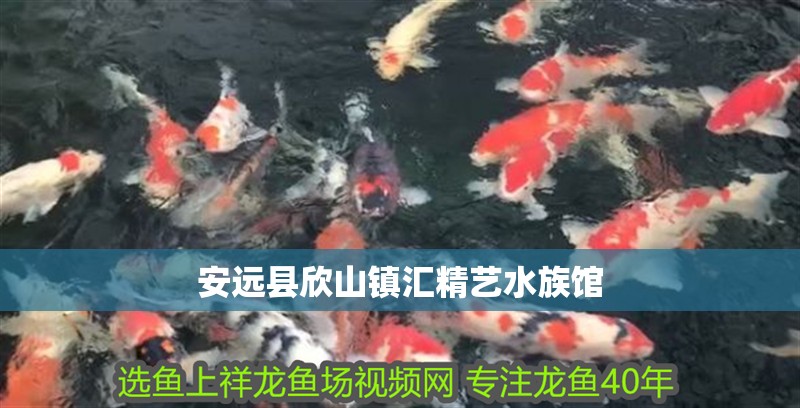 安遠縣欣山鎮(zhèn)匯精藝水族館