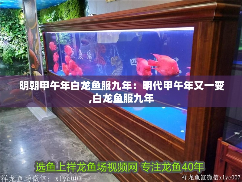 明朝甲午年白龍魚服九年：明代甲午年又一變,白龍魚服九年