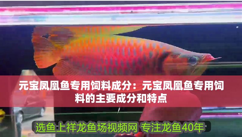 元寶鳳凰魚專用飼料成分：元寶鳳凰魚專用飼料的主要成分和特點