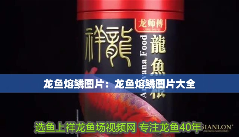 龍魚熔鱗圖片:龍魚熔鱗圖片大全 水族問答 龍魚熔鱗圖片:龍魚熔鱗圖片大全 龍魚熔鱗圖片:龍魚熔鱗圖片大全 水族問答