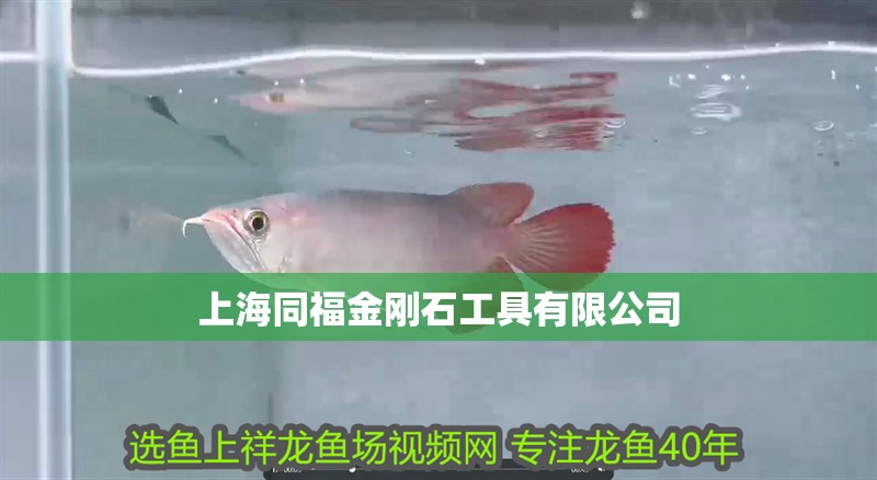 上海同福金剛石工具有限公司