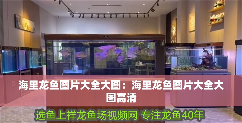 海里龍魚圖片大全大圖：海里龍魚圖片大全大圖高清