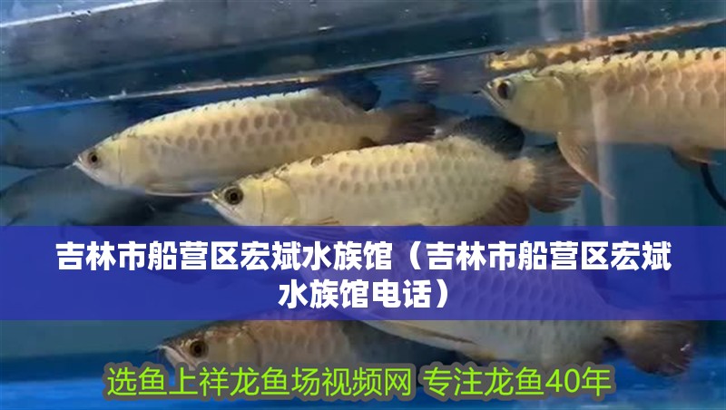 吉林市船營區宏斌水族館（吉林市船營區宏斌水族館電話）