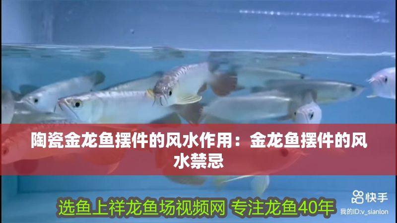 陶瓷金龍魚擺件的風水作用：金龍魚擺件的風水禁忌