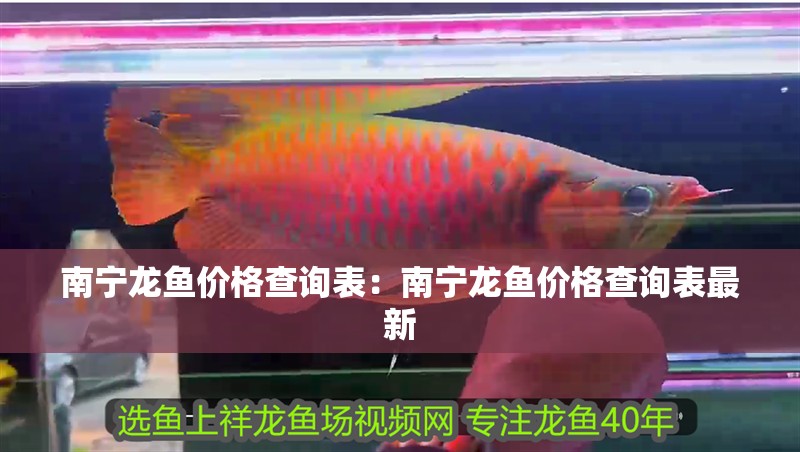 南寧龍魚價格查詢表：南寧龍魚價格查詢表最新
