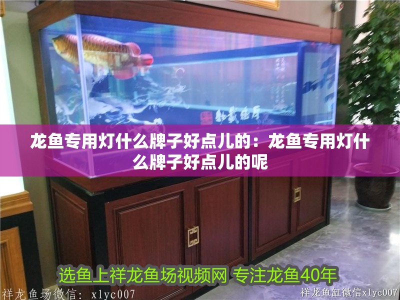 龍魚專用燈什么牌子好點兒的：龍魚專用燈什么牌子好點兒的呢