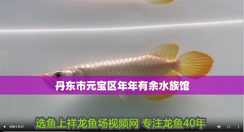 丹東市元寶區年年有余水族館