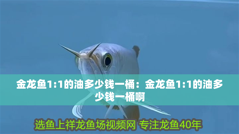 金龍魚1:1的油多少錢一桶：金龍魚1:1的油多少錢一桶啊
