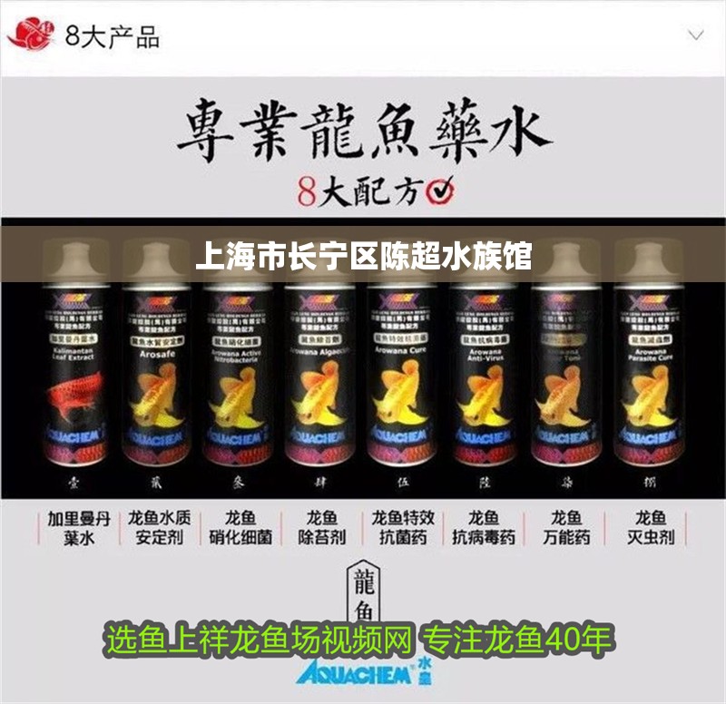 上海市長(zhǎng)寧區(qū)陳超水族館
