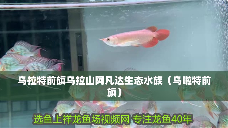 烏拉特前旗烏拉山阿凡達生態水族(烏啦特前旗) 全國水族館企業名錄 第1張 烏拉特前旗烏拉山阿凡達生態水族(烏啦特前旗) 烏拉特前旗烏拉山阿凡達生態水族(烏啦特前旗) 全國水族館企業名錄 第1張
