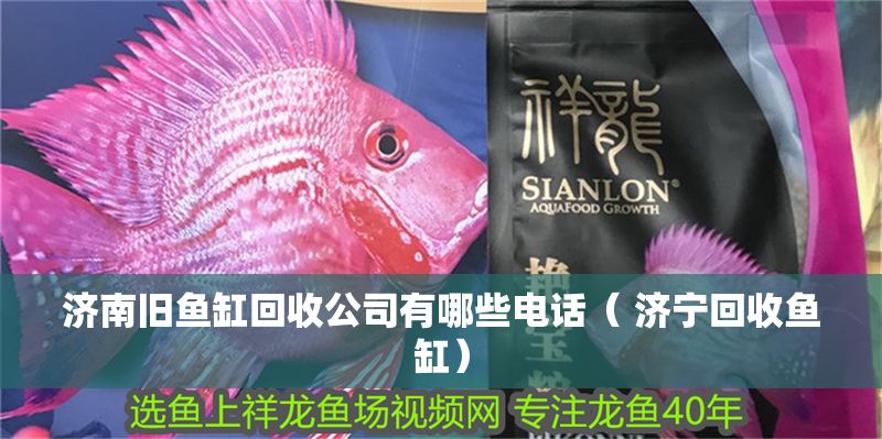 濟南舊魚缸回收公司有哪些電話（ 濟寧回收魚缸）