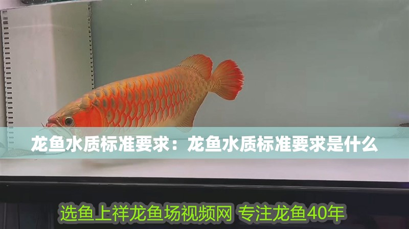 龍魚水質(zhì)標準要求：龍魚水質(zhì)標準要求是什么