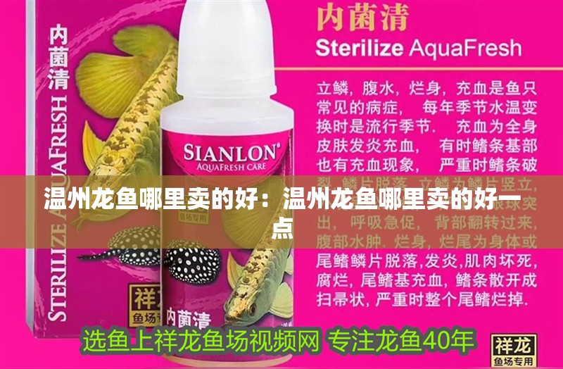 溫州龍魚哪里賣的好：溫州龍魚哪里賣的好一點(diǎn)