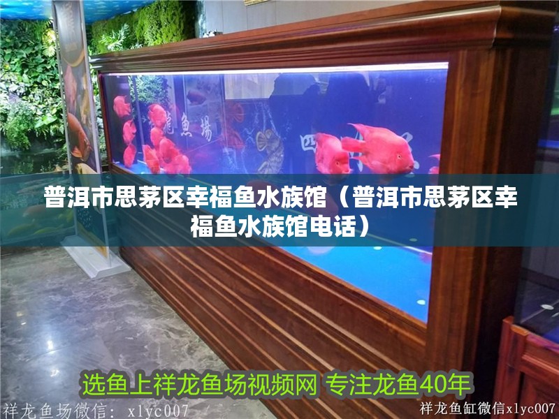 普洱市思茅區(qū)幸福魚(yú)水族館（普洱市思茅區(qū)幸福魚(yú)水族館電話）