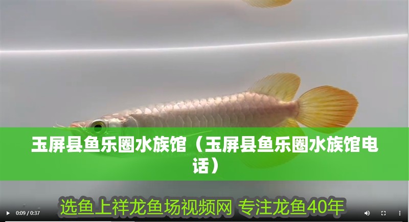 玉屏縣魚樂圈水族館（玉屏縣魚樂圈水族館電話）
