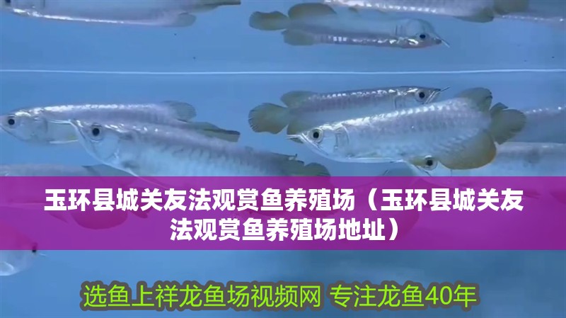 玉環縣城關友法觀賞魚養殖場（玉環縣城關友法觀賞魚養殖場地址）