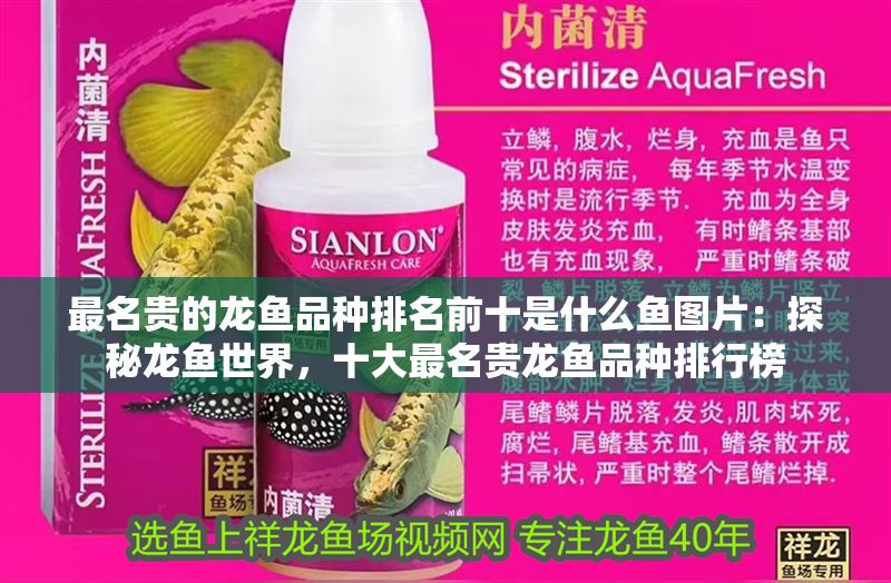 最名貴的龍魚品種排名前十是什么魚圖片：探秘龍魚世界，十大最名貴龍魚品種排行榜