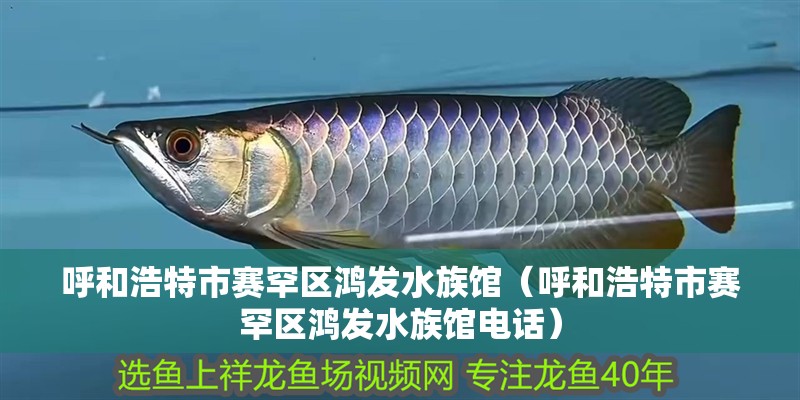 呼和浩特市賽罕區鴻發水族館（呼和浩特市賽罕區鴻發水族館電話）