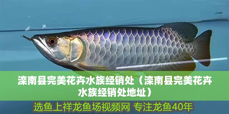 灤南縣完美花卉水族經銷處（灤南縣完美花卉水族經銷處地址） 灤南縣完美花卉水族經銷處（灤南縣完美花卉水族經銷處地址） 全國水族館企業名錄 第1張