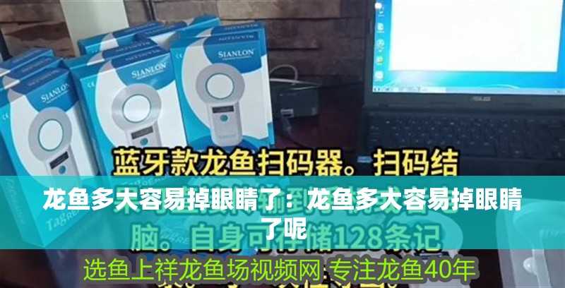 龍魚多大容易掉眼睛了：龍魚多大容易掉眼睛了呢