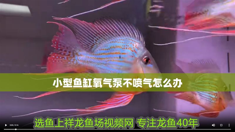 小型魚缸氧氣泵不噴氣怎么辦