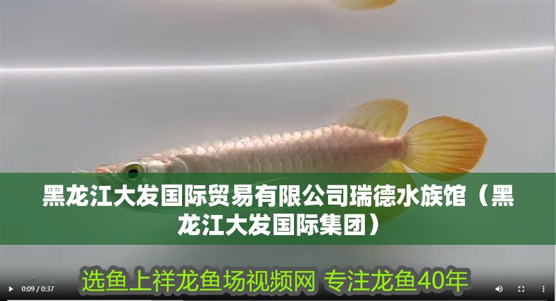 黑龍江大發(fā)國際貿(mào)易有限公司瑞德水族館（黑龍江大發(fā)國際集團）