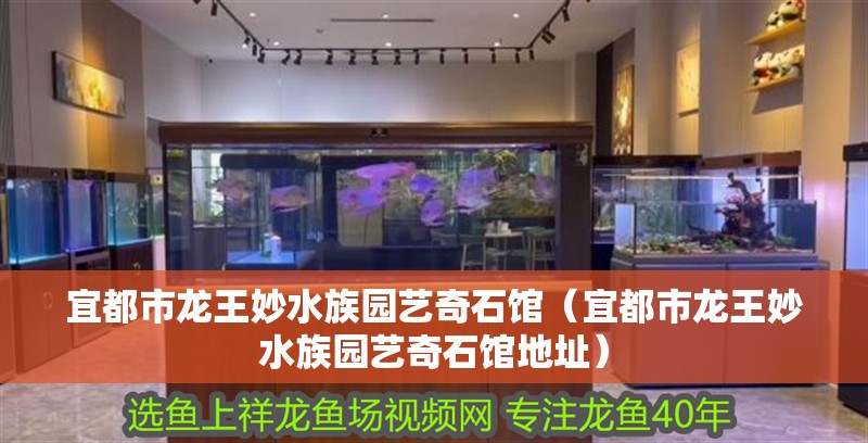 宜都市龍王妙水族園藝奇石館（宜都市龍王妙水族園藝奇石館地址）