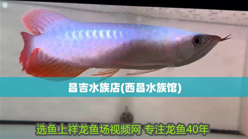 昌吉水族店(西昌水族館)