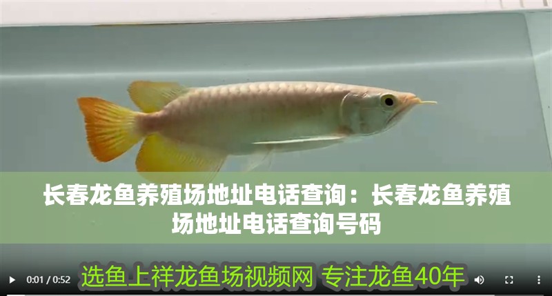 森森魚缸插板：森森魚缸插板怎么樣