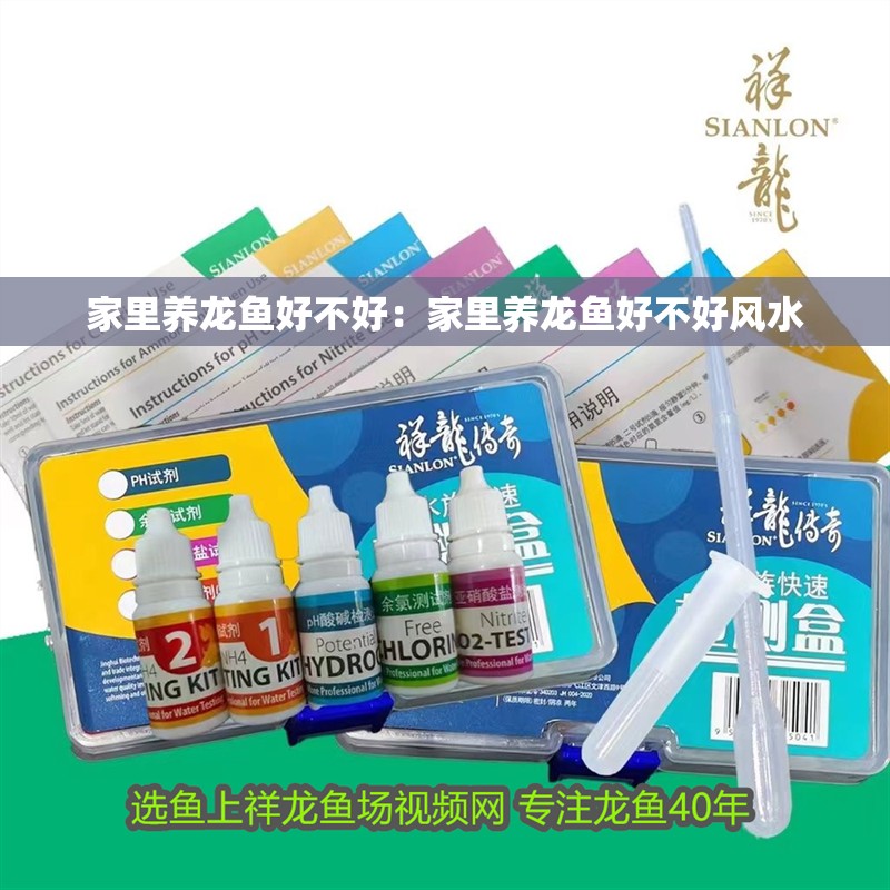家里養(yǎng)龍魚(yú)好不好：家里養(yǎng)龍魚(yú)好不好風(fēng)水