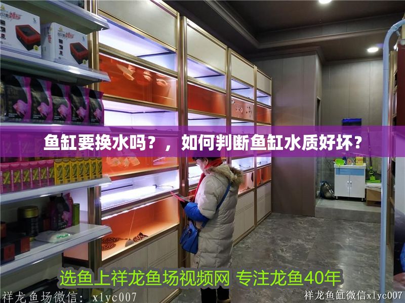 魚缸要換水嗎？，如何判斷魚缸水質好壞？