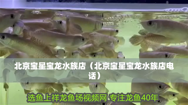 北京寶星寶龍水族店（北京寶星寶龍水族店電話）