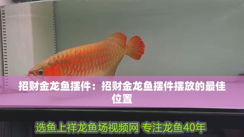 招財金龍魚擺件：招財金龍魚擺件擺放的最佳位置