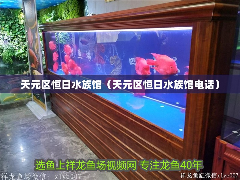 天元區恒日水族館（天元區恒日水族館電話）