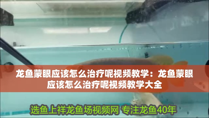 龍魚蒙眼應該怎么治療呢視頻教學：龍魚蒙眼應該怎么治療呢視頻教學大全