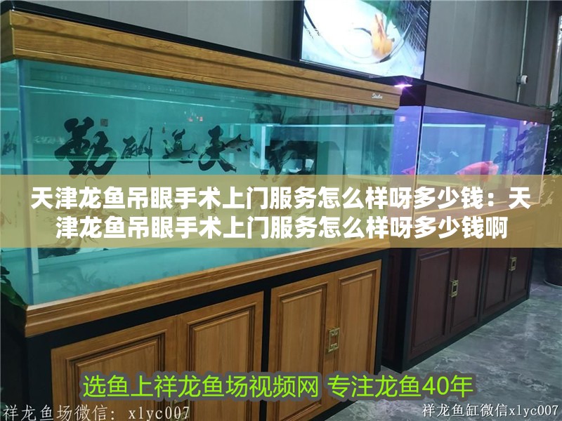 天津龍魚吊眼手術上門服務怎么樣呀多少錢：天津龍魚吊眼手術上門服務怎么樣呀多少錢啊