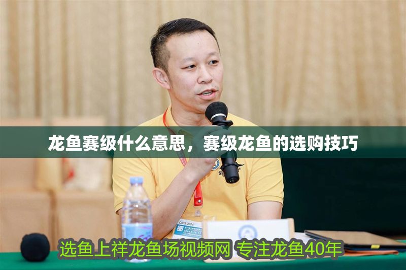 龍魚賽級(jí)什么意思，賽級(jí)龍魚的選購(gòu)技巧