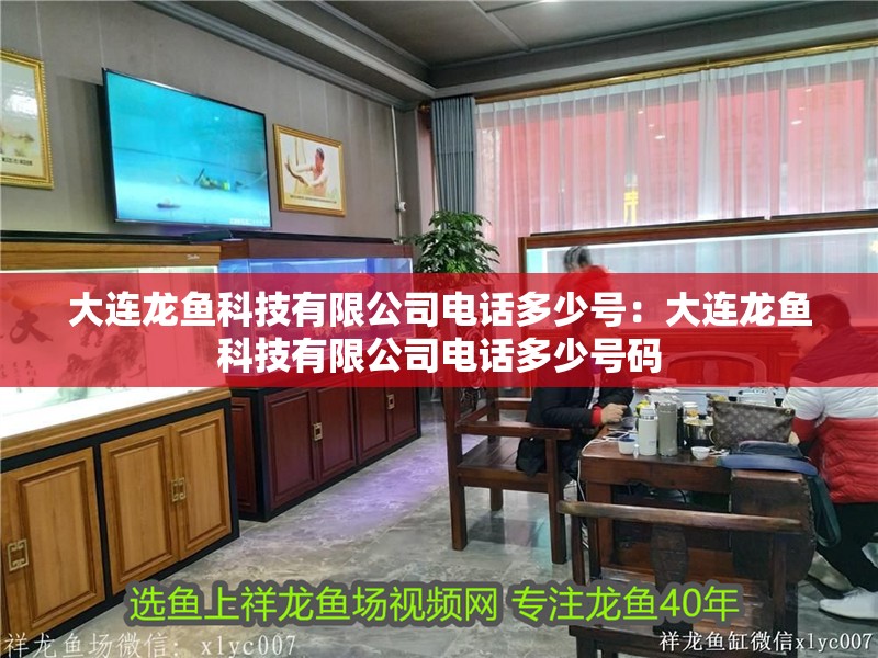 大連龍魚科技有限公司電話多少號：大連龍魚科技有限公司電話多少號碼