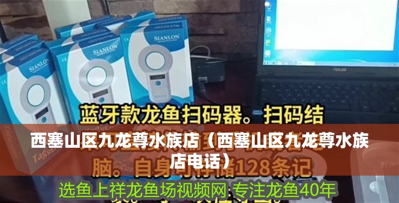 西塞山區九龍尊水族店（西塞山區九龍尊水族店電話）