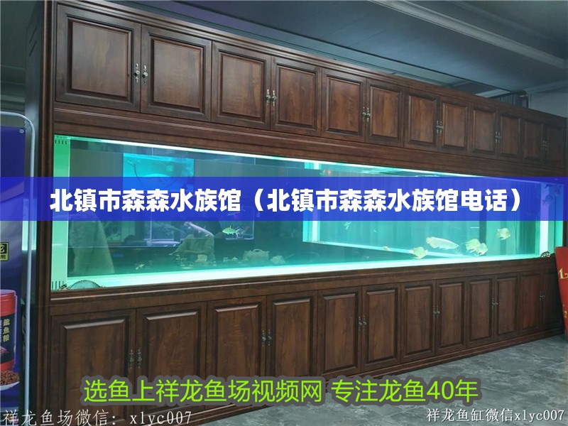 北鎮(zhèn)市森森水族館（北鎮(zhèn)市森森水族館電話(huà)）